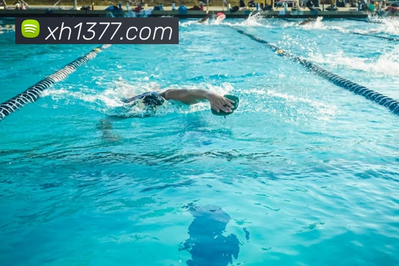 世界杯半决赛预测出炉 两场焦点对决引关注